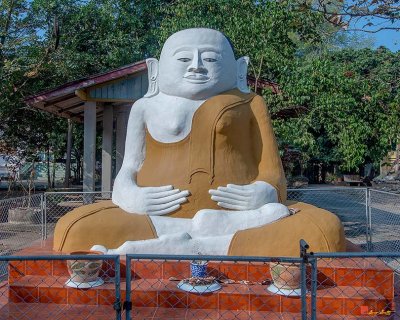 Wat Pa Chedi Liam Buddha Image Shrine (DTHCM2685)