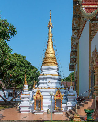 Wat Tha Ton Ngui Phra Chedi (DTHLU0551)