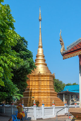Wat Nong Pham Phra Chedi (DTHLU0567)