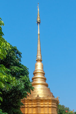 Wat Nong Pham Phra Chedi Pinnacle (DTHLU0568)