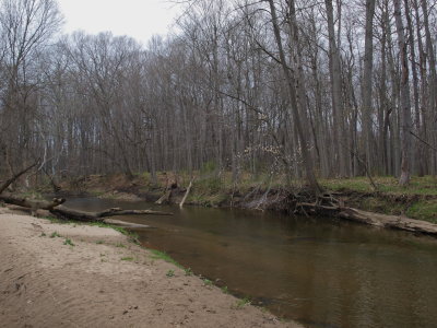 Sandy Streambank