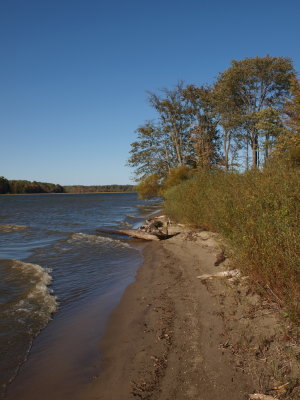 Anthropogenic Lake - Sandy Shore