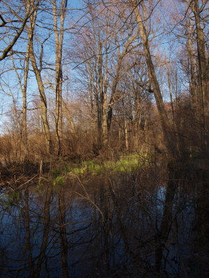 g12/00/1032100/3/170105932.ZaJvFBmc.jpg