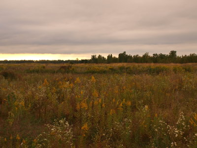 g12/00/1032100/3/170114240.bBgJIHkx.jpg