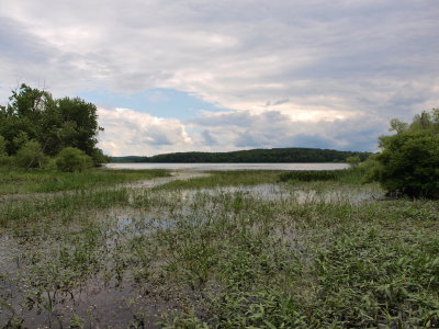 Anthropogenic Lake - Cove with White Water-Buttercup