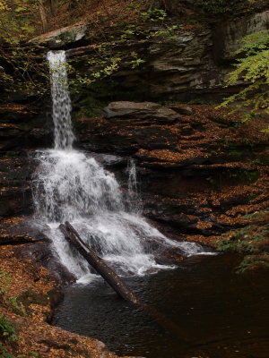 Sheldon Reynolds Falls