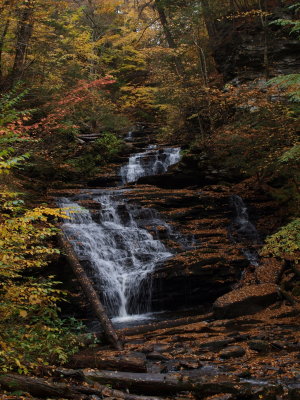 Conestoga Falls