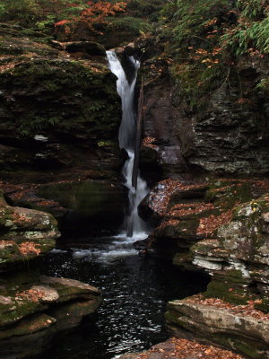 Adams Falls