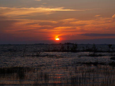 Sunsets