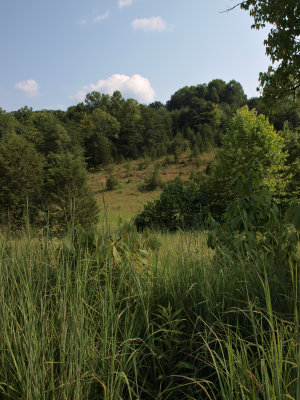 Hillside Prairie