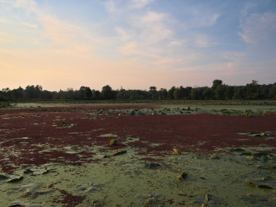 Glaciated Inland Region