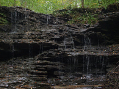 Pioneer Falls