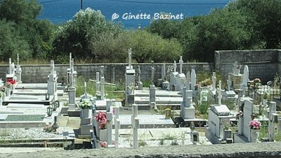 g12/00/1079800/3/169743707.S9Wdxmav.jpg