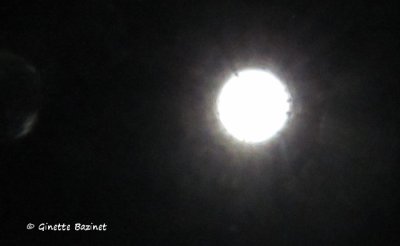 g12/00/1079800/3/170598232.kdXLM8Xt.jpg