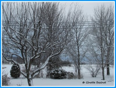 Aprs une chute de neige,tu utilises trs souvent ton crayon bleu fonc au fond de l'horizon.