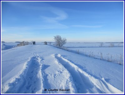 d'accentuer le bleu dans le ciel tout en se permettant des traits artistiques... c'est une bonne ide...