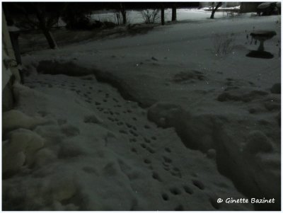   En soire, il arrive de voir des cristaux briller sur la neige.