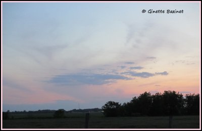 On croirait que les nuages imitent une silhouette animale.