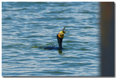 DSC_8175_F.jpg