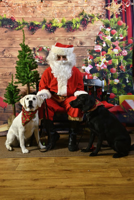 Luke, Mackenzie, and Sullivan