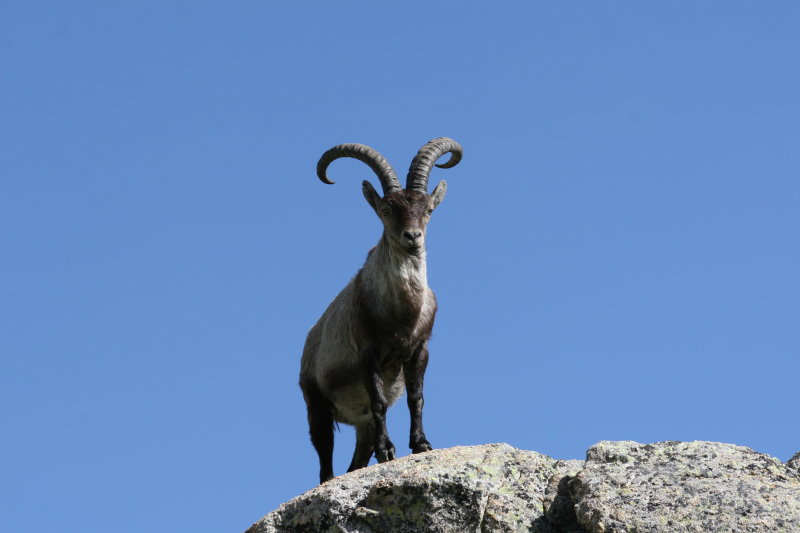 Img1920.JPG