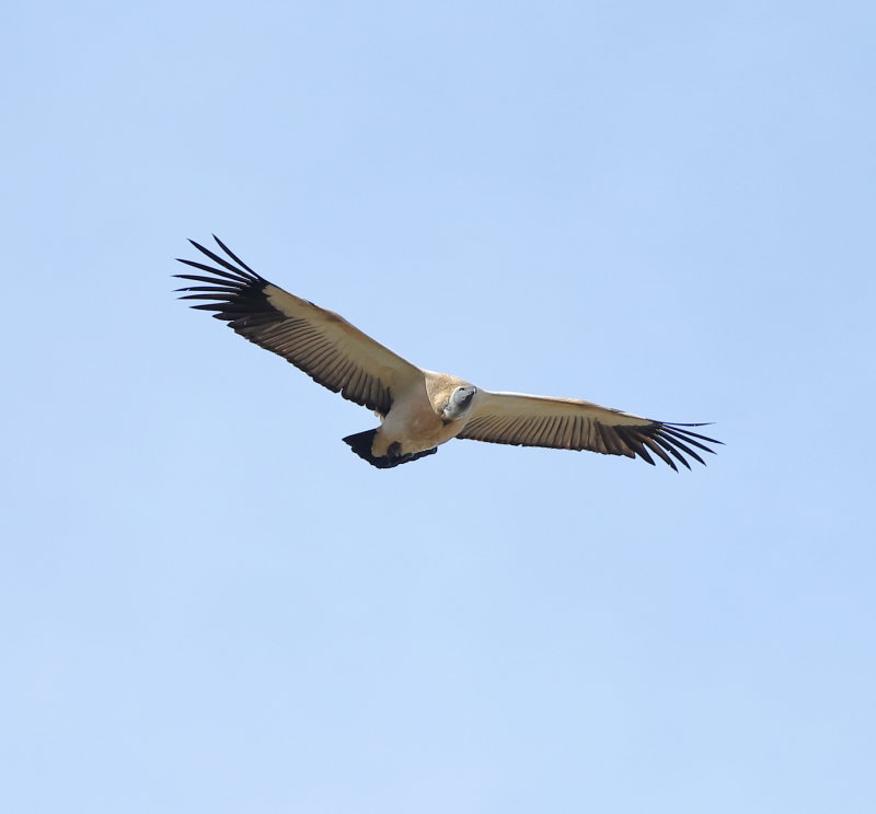 AGS16754.JPG