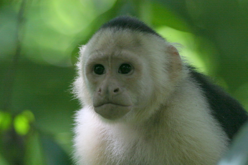 IMG_7387.JPG