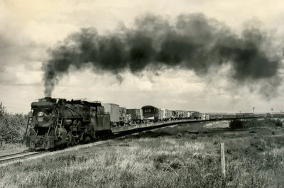 Circus Train