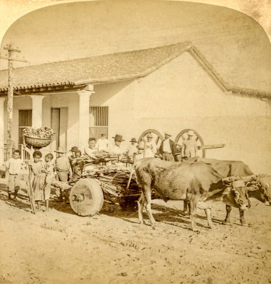 Ox Cart