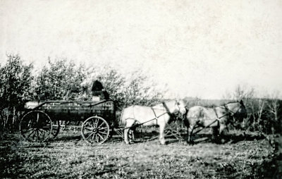 The Water Wagon