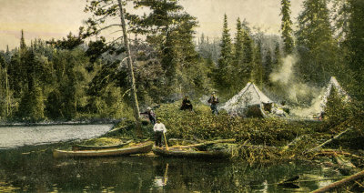 Camping in the Woods