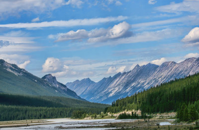 Mountains and Trees 