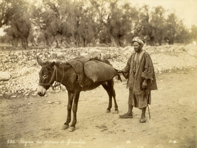 Farmer Near Jerusalem
