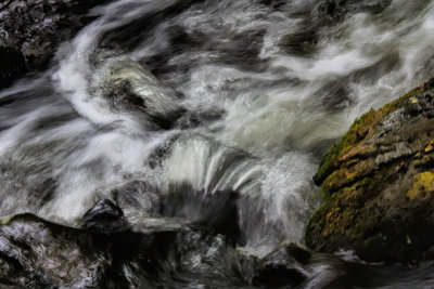 Wild Water