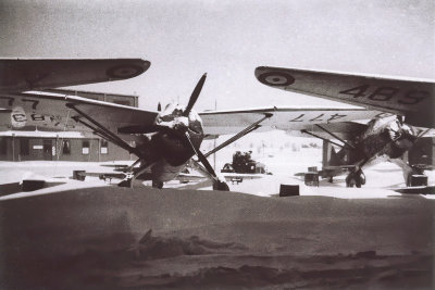 Lysanders in Winter