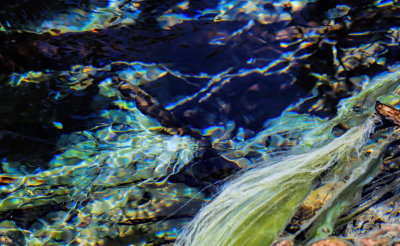 Sulphur Spring