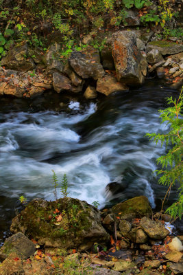 The River