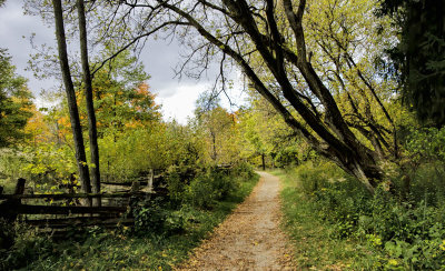 Trail to the Nature Centre 