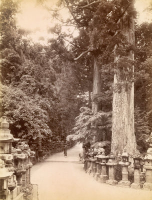 Temple Path 
