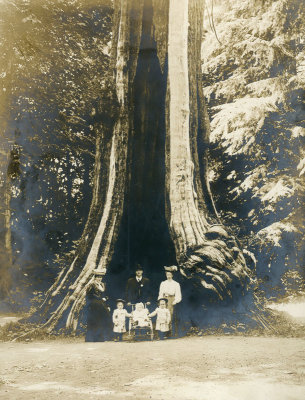 Family by a Large Tree 
