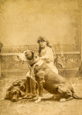 Girl with Two Large Dogs 