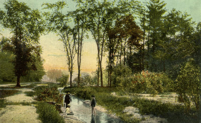 Rosedale Ravine