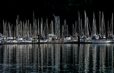 Sea of Masts