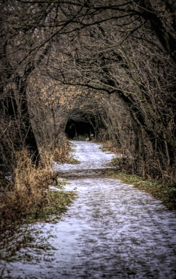 Into the Tunnel 