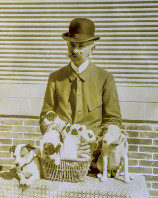 Man with Puppies
