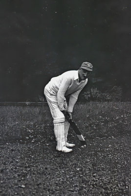 The Cricket Player 