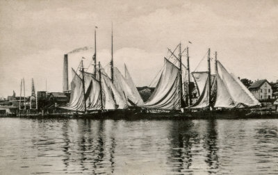 Drying Sails 