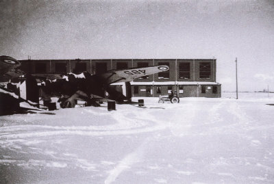 Lysanders in the Snow