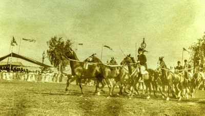 Horse parade 