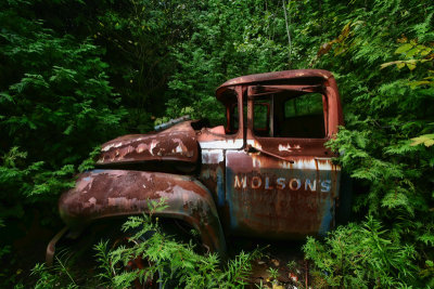 Molson's Truck  